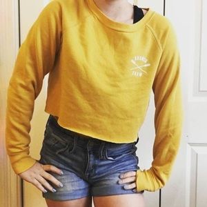 Cropped Yellow Crewneck!